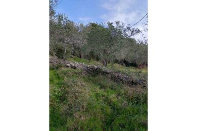 Agricultural Land Plot For Sale - KOKKINI, CORFU